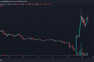 Подъем цены на Dogecoin из-за нового приобретения Илона Маска