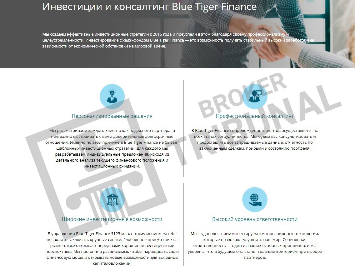 Blue Tiger Finance Ltd