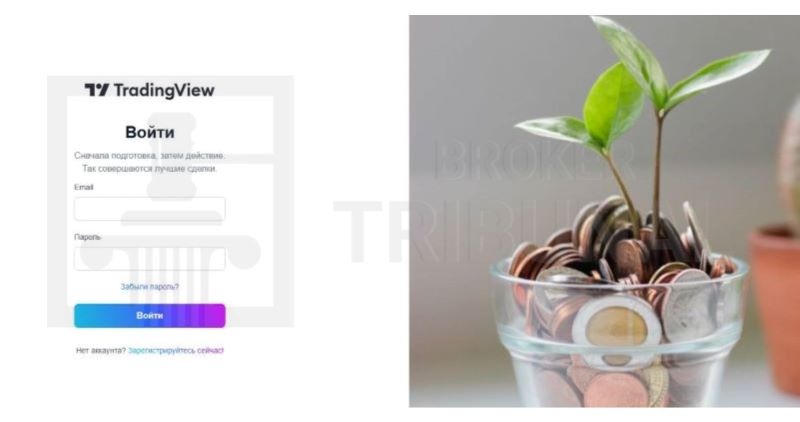 Protradingview 