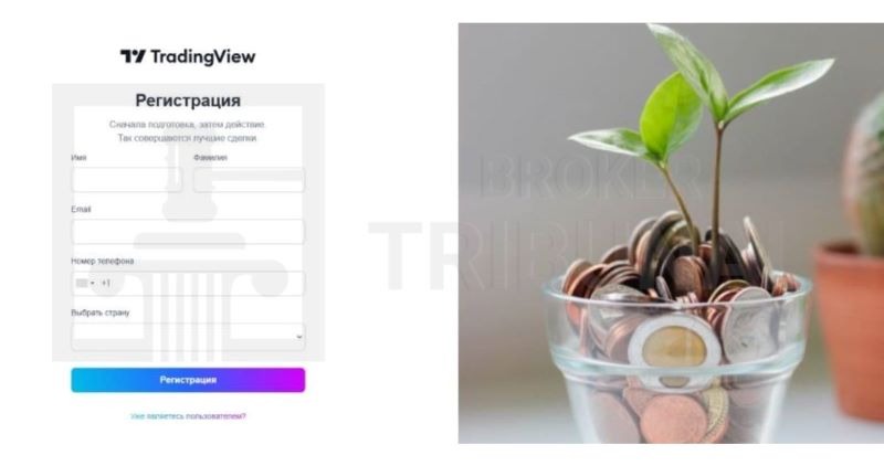 Protradingview 