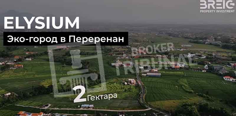 Иноагент Дудь рекламирует пирамиду Breig Property, похожую на МММ