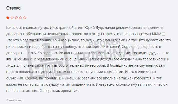 Иноагент Дудь рекламирует пирамиду Breig Property, похожую на МММ