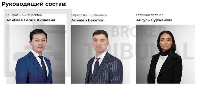 Arkadaconsult Online