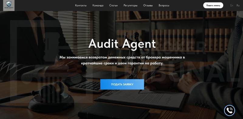 Audit Agent