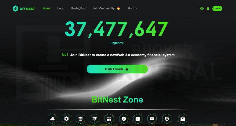 BitNest 