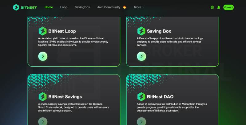 BitNest 