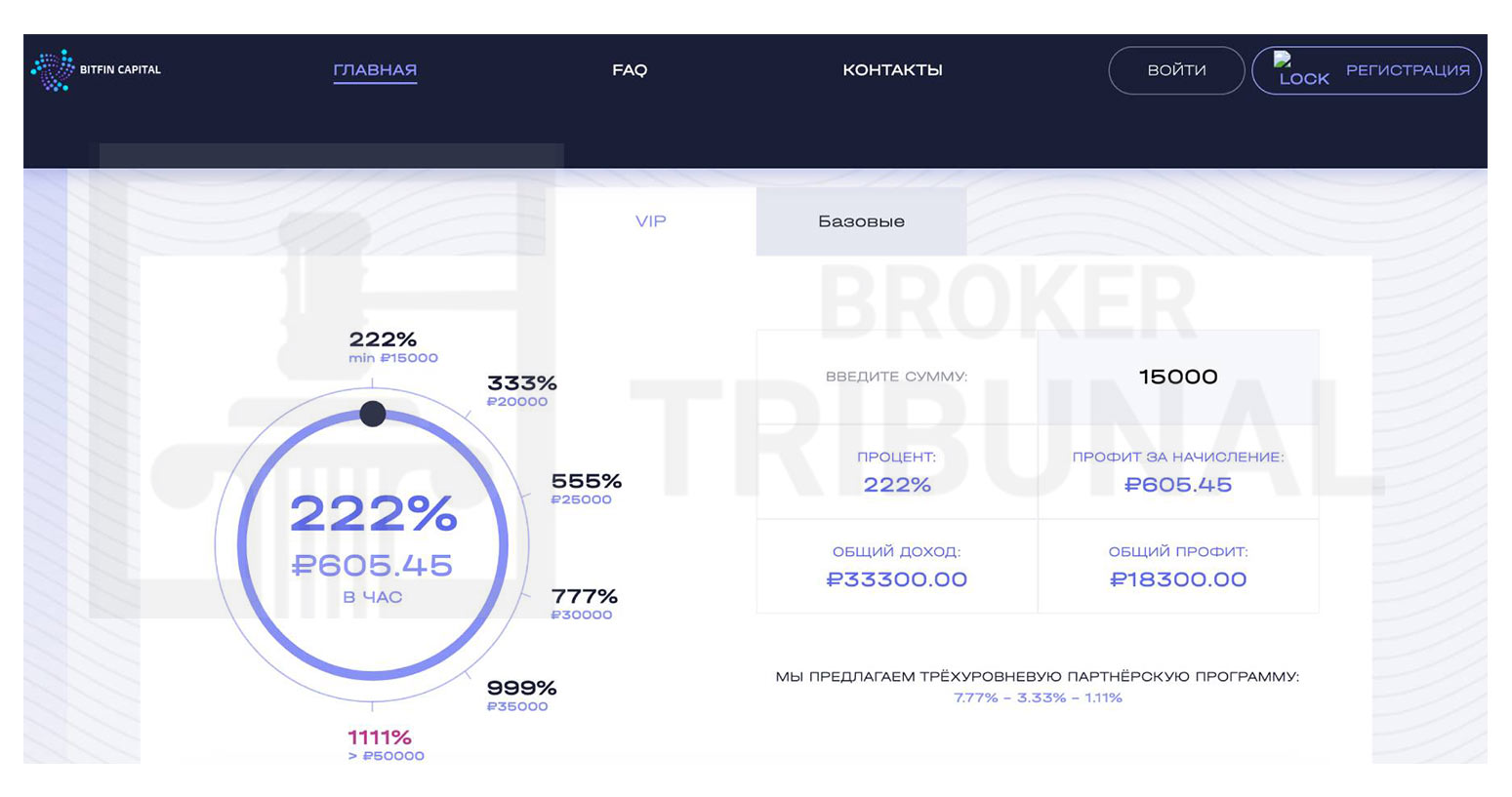 Bitfin Capital