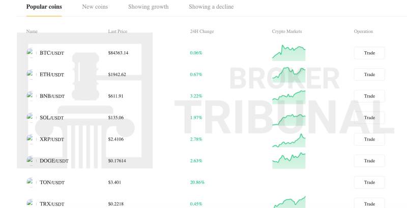 Bitskein 