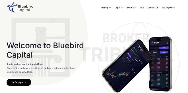 BluebirdSrl