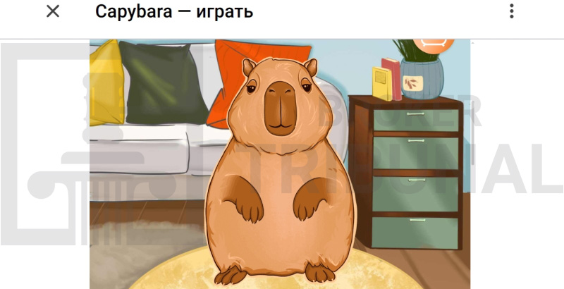 Capybara 