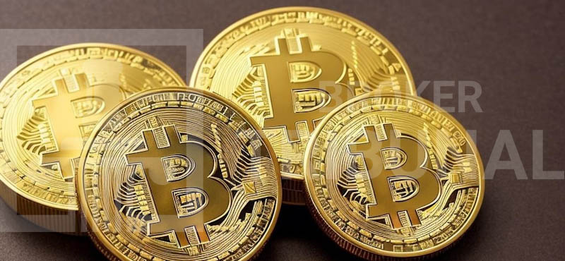 Куда пойдет цена Bitcoin в 2025 году: прогнозы от лучших аналитиков