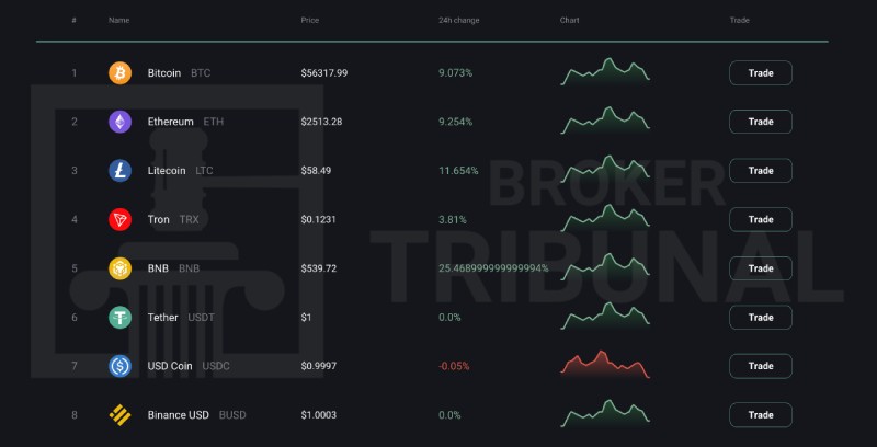 CoinRizen 