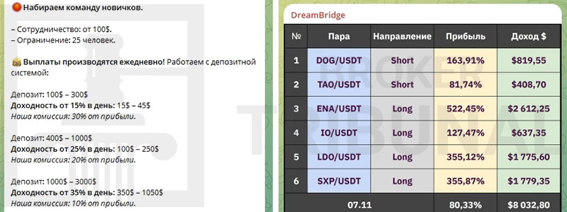 Разоблачение сетки циничных мошенников из Телеграма