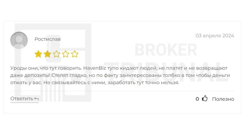 HavenBiz 