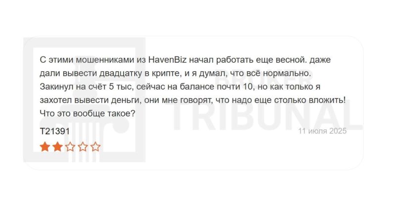 HavenBiz 