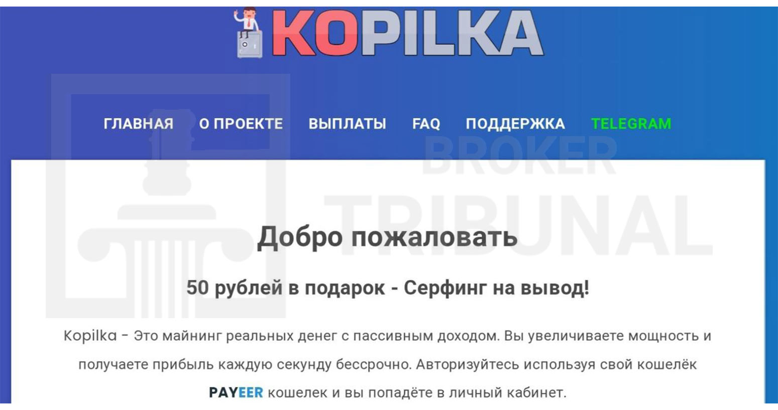 Kopilka Cash