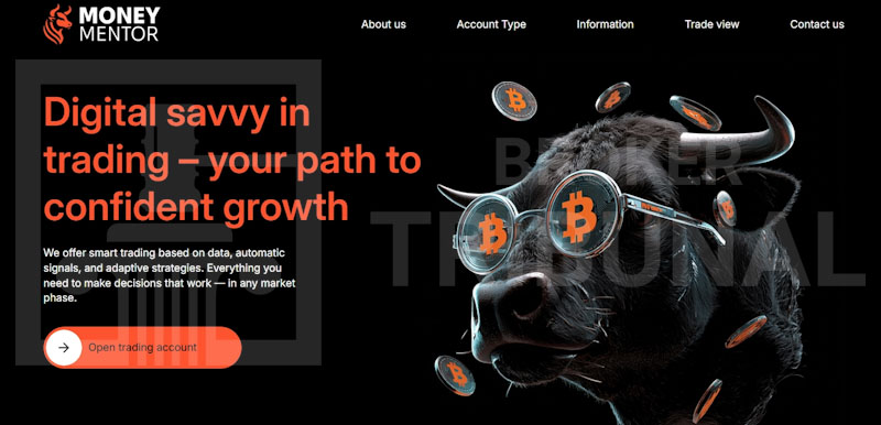 MoneyMentor