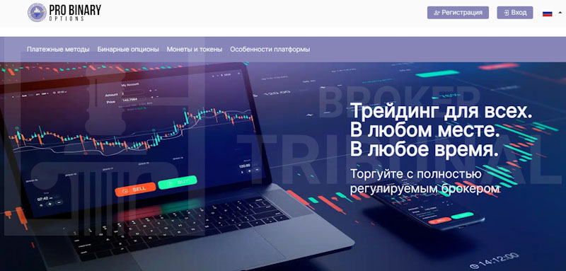 Pro Binary Options
