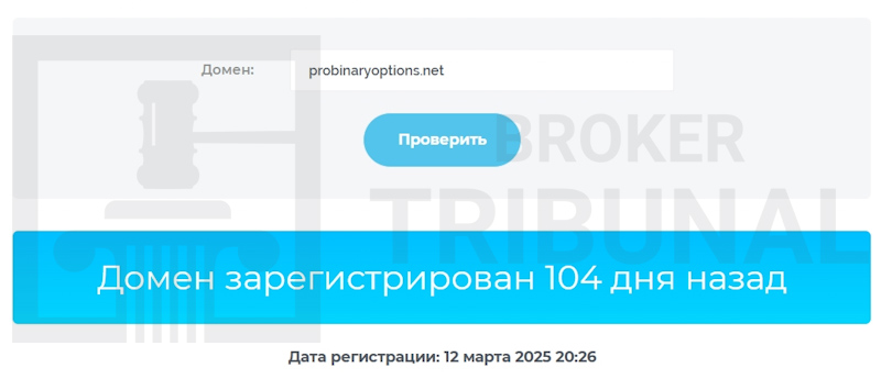 Pro Binary Options