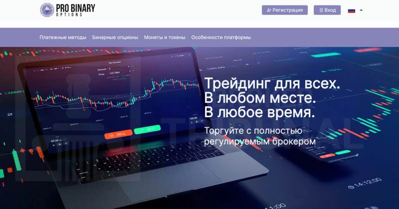 Pro Binary Options