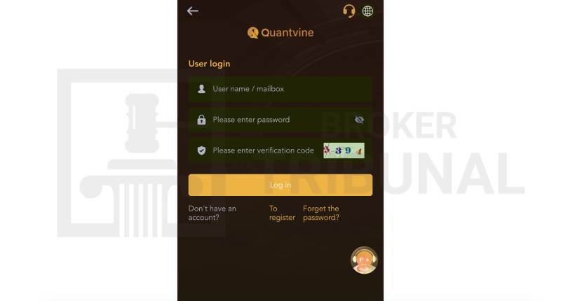 Quantvinees 
