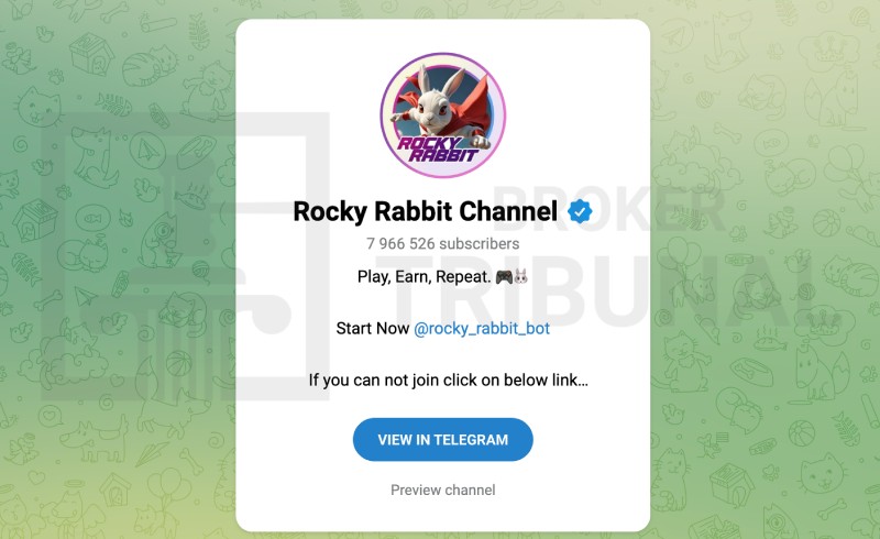 Rocky Rabbit