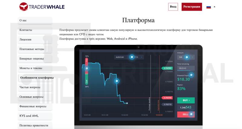 Trader Whale