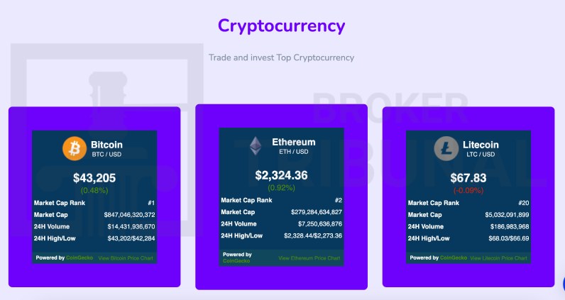 Trading Base INC 