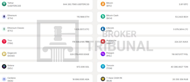 Tsunami Cash