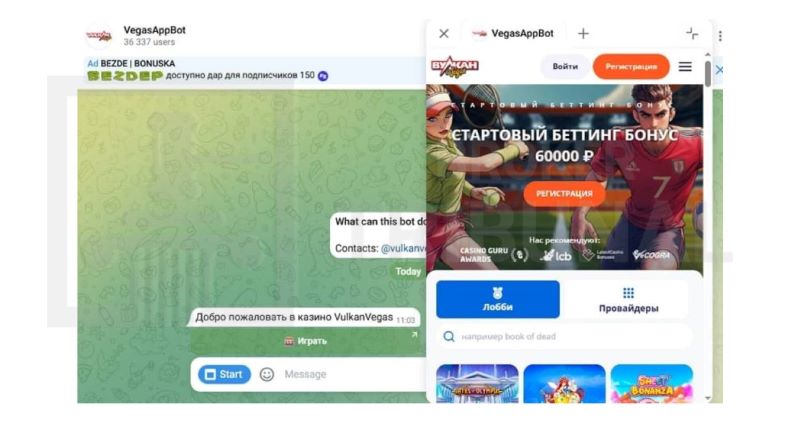 VegasAppBot в Telegram — реальная возможность заработать или очередной развод мошенников?