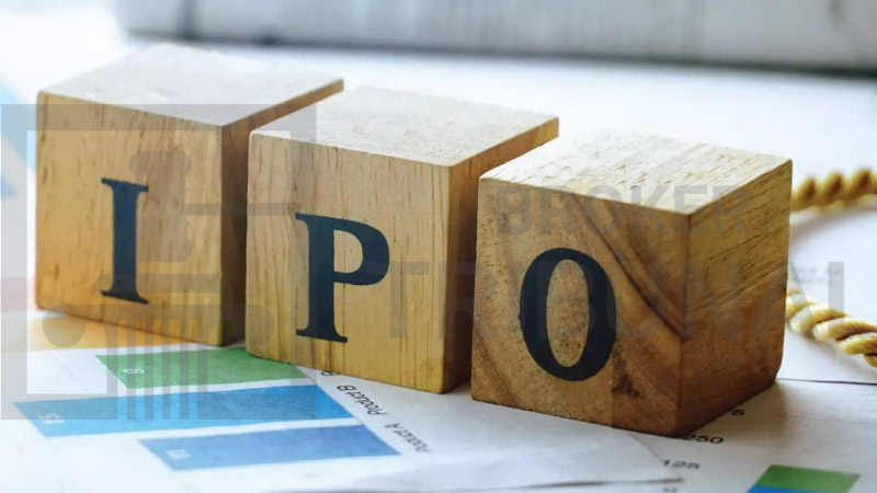 Как выбрать IPO, чтобы разбогатеть, а не прогореть?