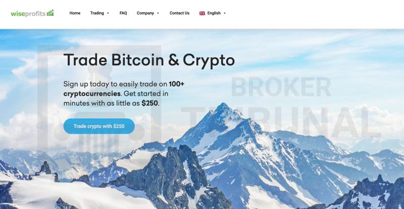 Wiseprofits