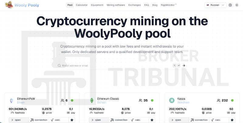 WoolyPooly