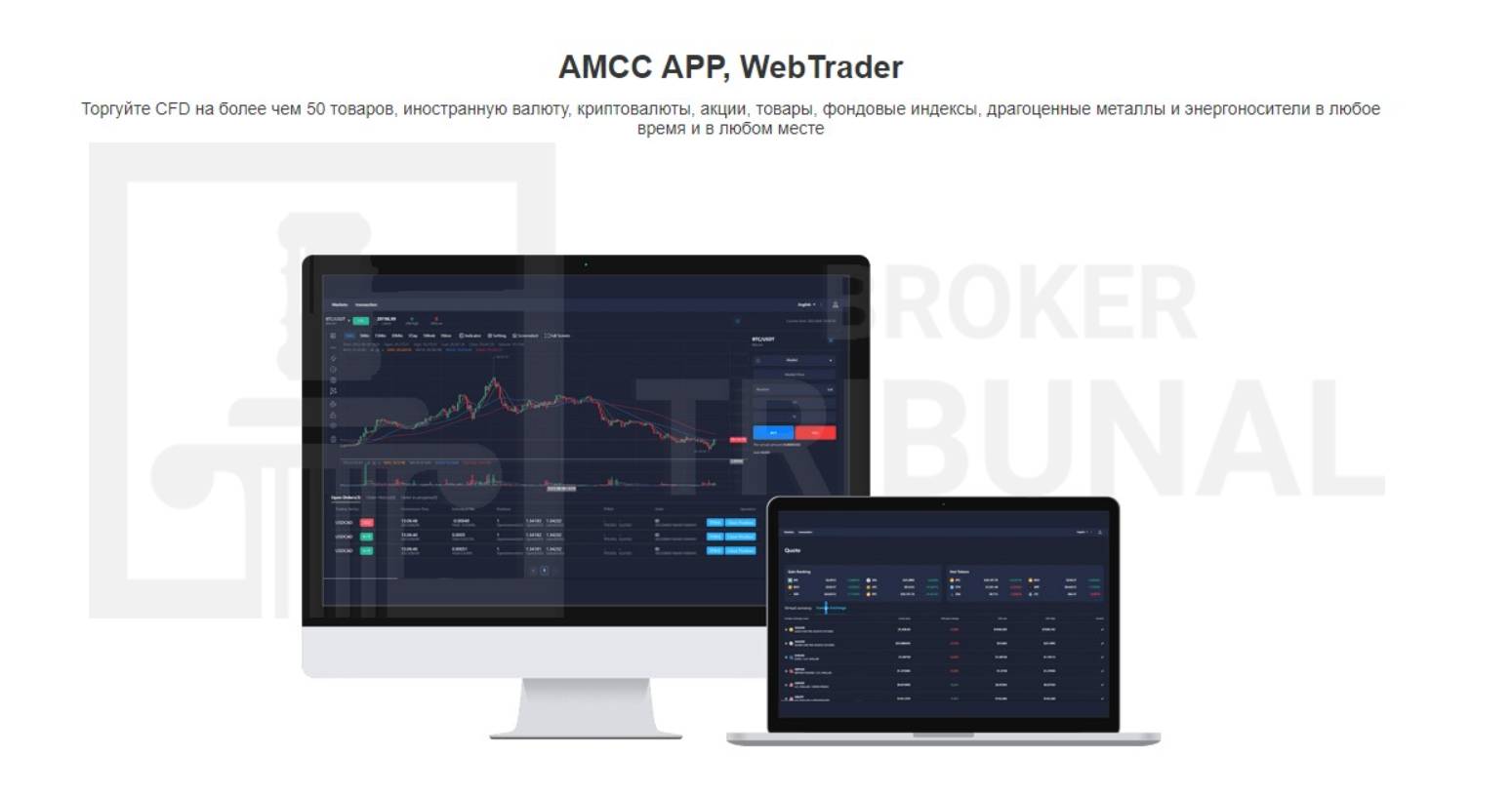 AMCC Markets Limited