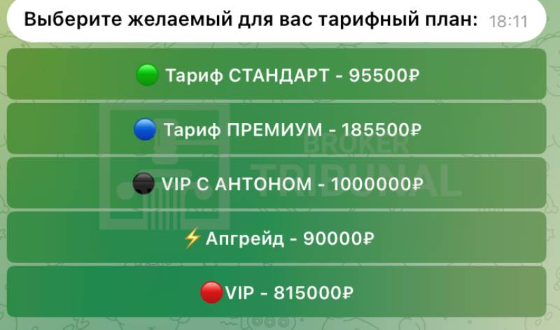 Курс Антона Клевцова