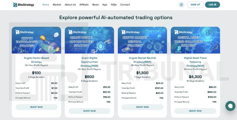 BitsStrategy