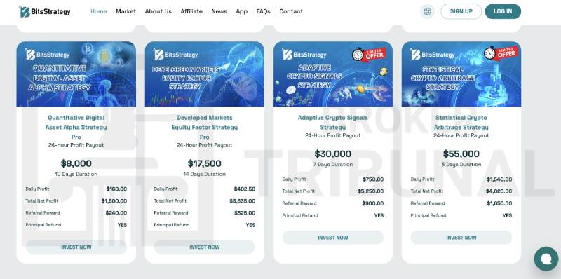 BitsStrategy