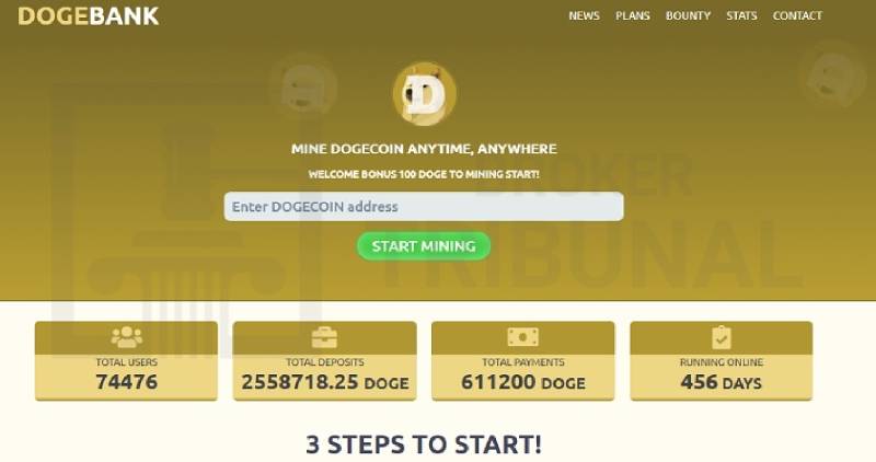 DogeBank