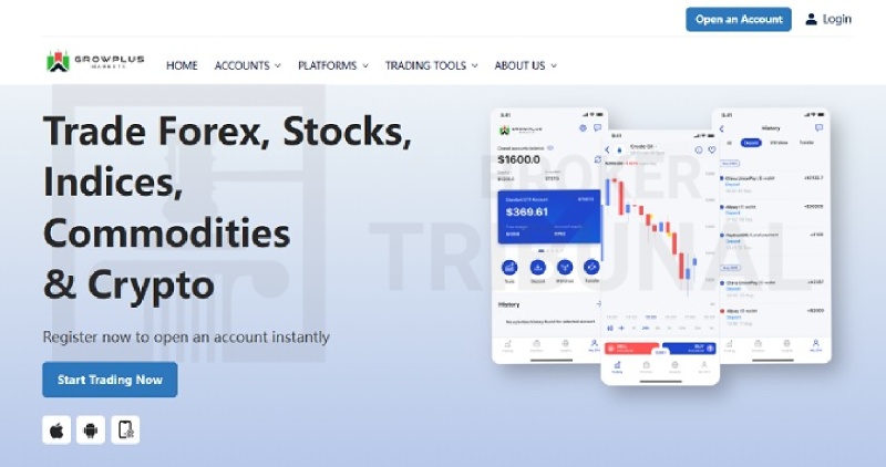 GrowPlus Market