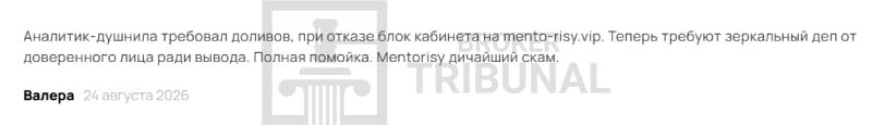 Mentorisy