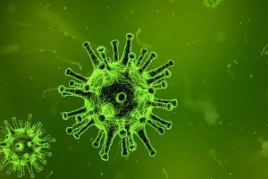 В США подтверждён пятый случай заболевания коронавирусом