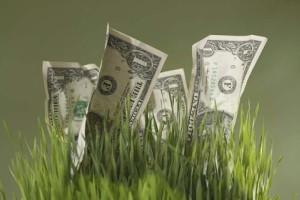 Безработная казахстанка присвоила через финансовую пирамиду более 200 тысяч долларов