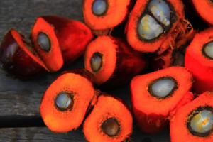 Власти снова решили поменять НДС