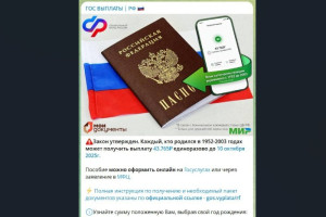 Россиян призвали игнорировать новую мошенническую схему с выплатами