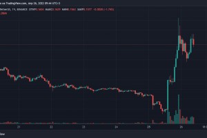 Подъем цены на Dogecoin из-за нового приобретения Илона Маска