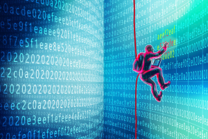 Стали известны реальные потери Bitpoint