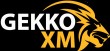 Брокерская компания GekkoXM