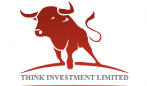 Think Investments Limited