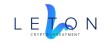 Инвестиционный проект Leton Group