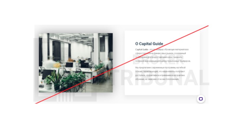 Capital Guide: детальный разбор проекта и отзывы о нем